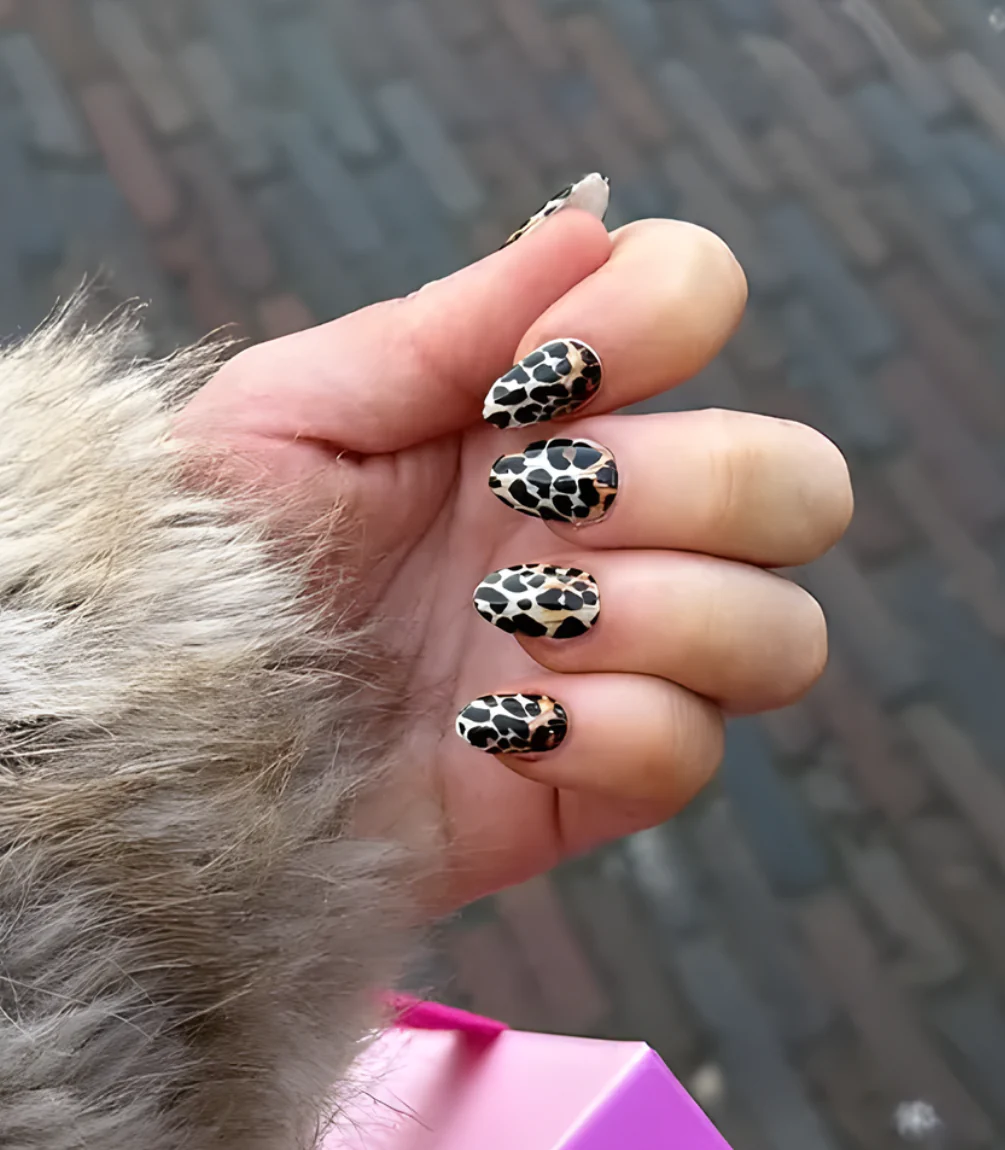 028 Lavish Leopard - Image 3