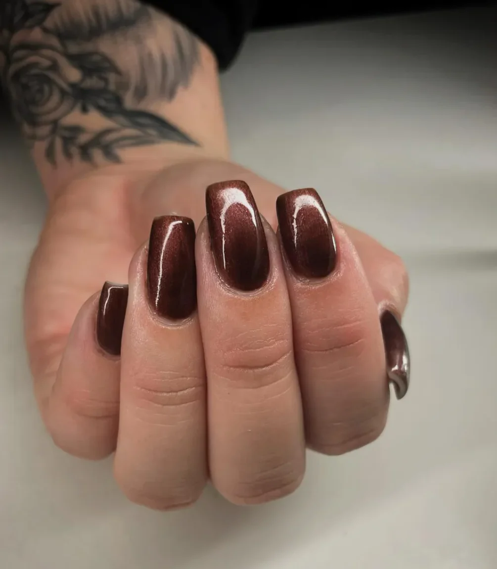 150 Chestnut Brown - Image 3